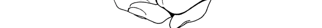 Akebi