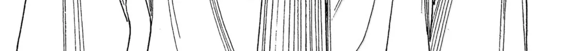 Akebi