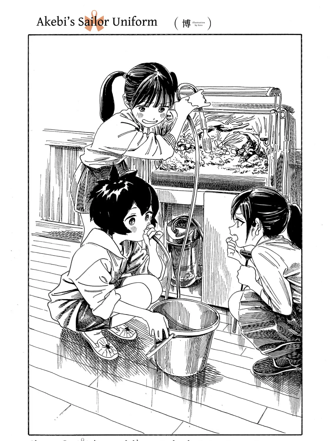 Akebi