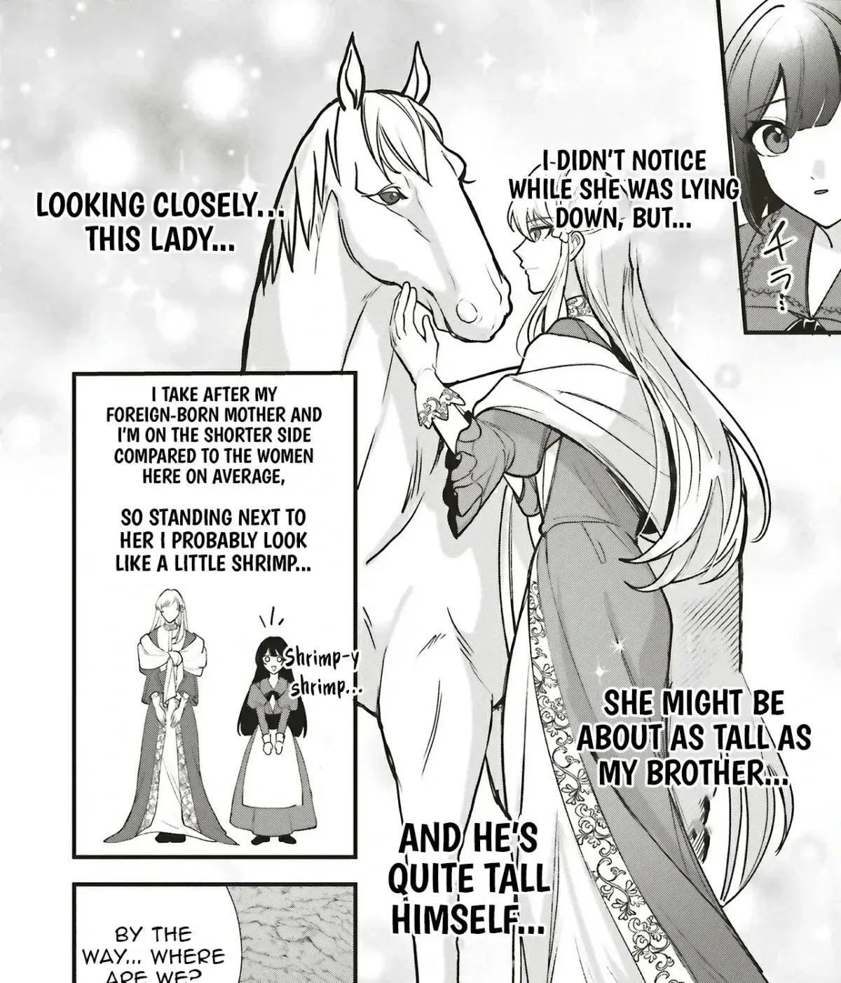 Akuhyou Reijou Nanoni, Bibou no Koushi ga Semattekuru Chapter 2.2 page 17 - 