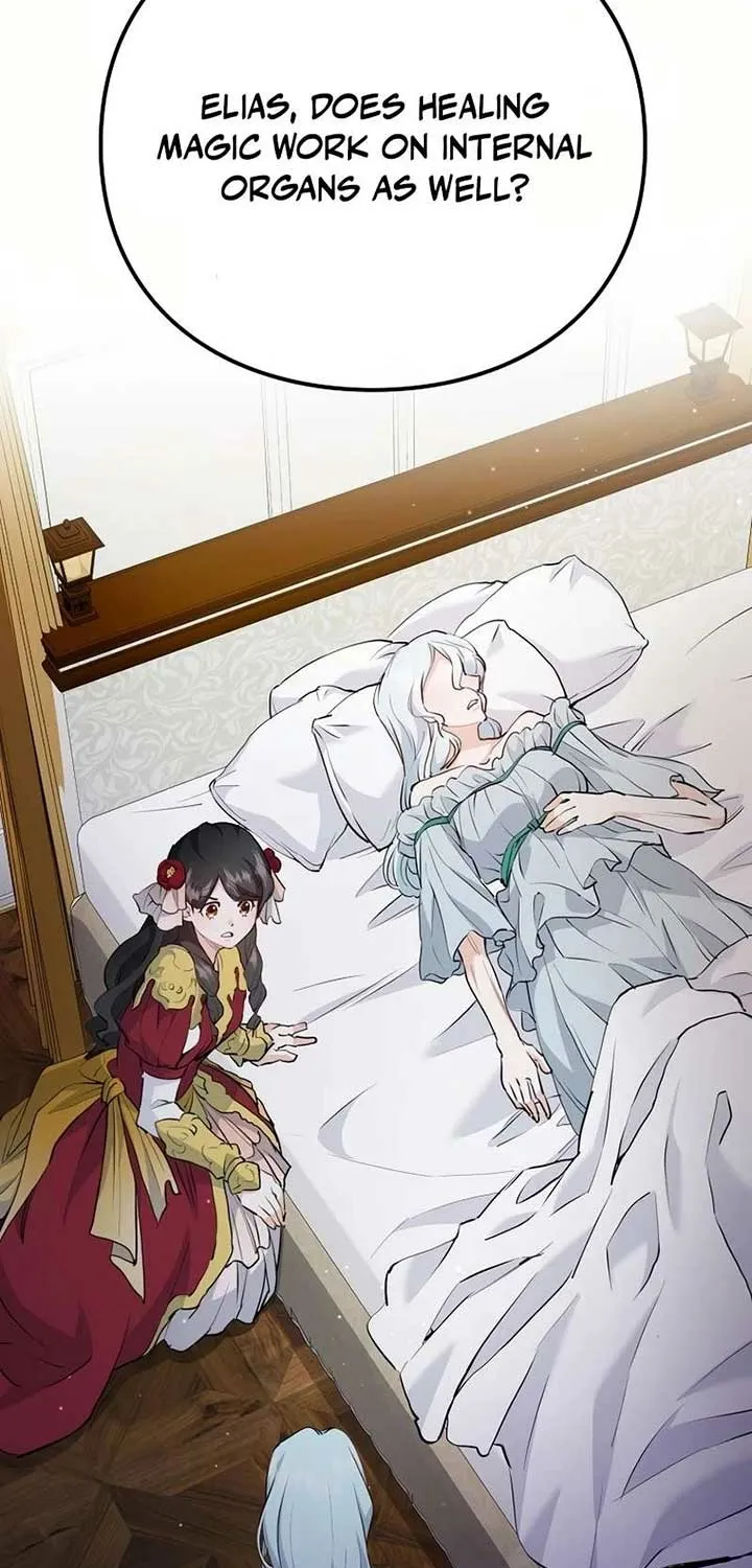 Akujo Alicia no Kyuukoku Recipe Chapter 17 page 20 - 