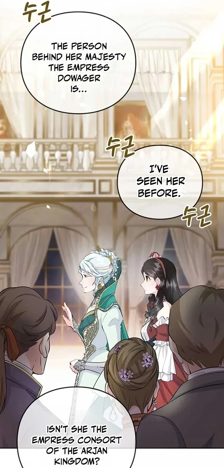 Akujo Alicia no Kyuukoku Recipe Chapter 20 page 19 - 