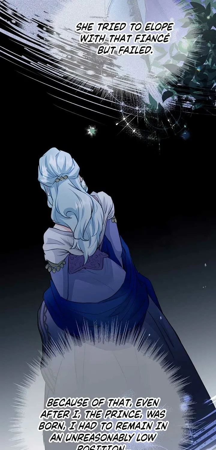 Akujo Alicia no Kyuukoku Recipe Chapter 22 page 65 - 