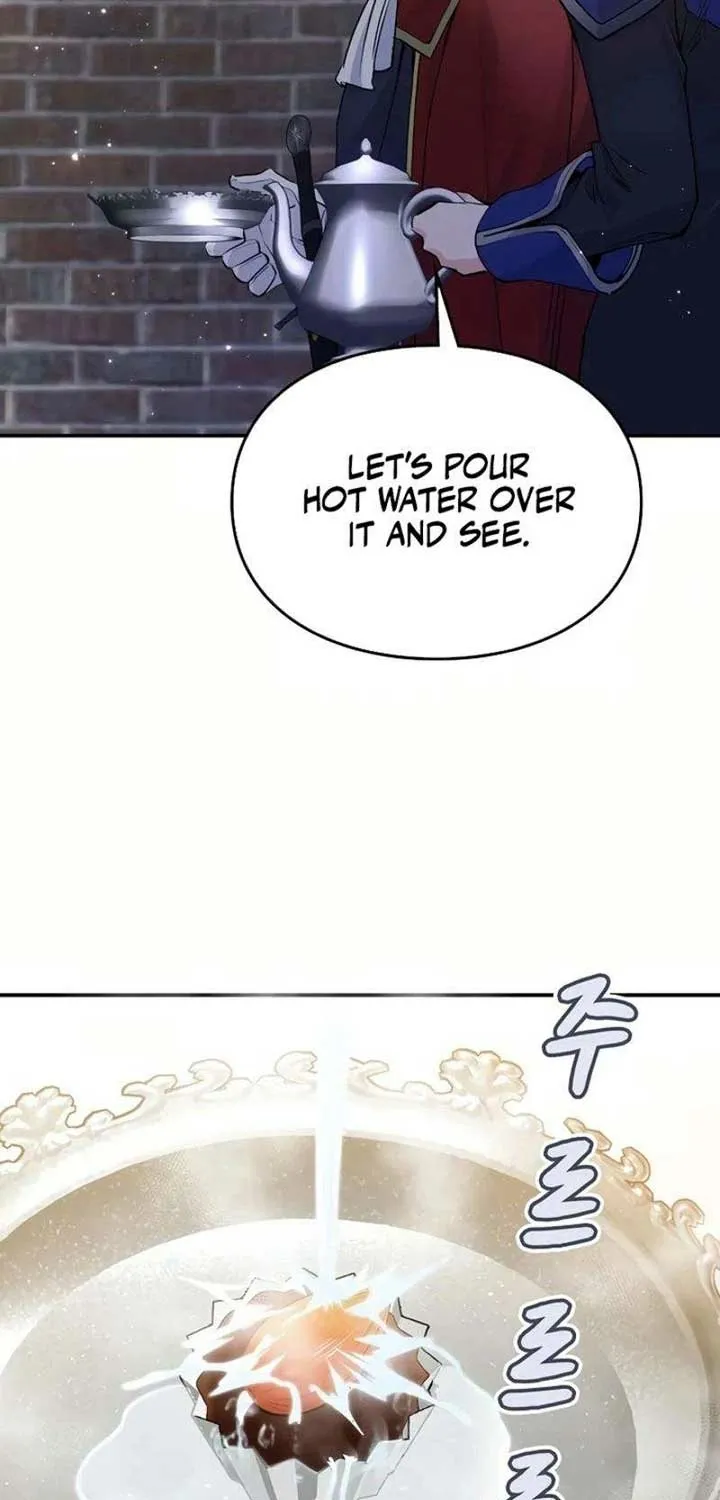 Akujo Alicia no Kyuukoku Recipe Chapter 32 page 21 - 