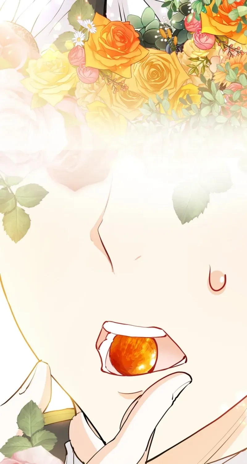 Akujo Alicia no Kyuukoku Recipe Chapter 49 page 24 - 
