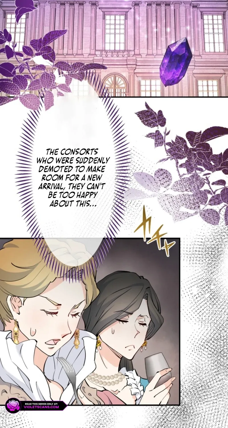 Akujo Alicia no Kyuukoku Recipe Chapter 69 page 13 - 