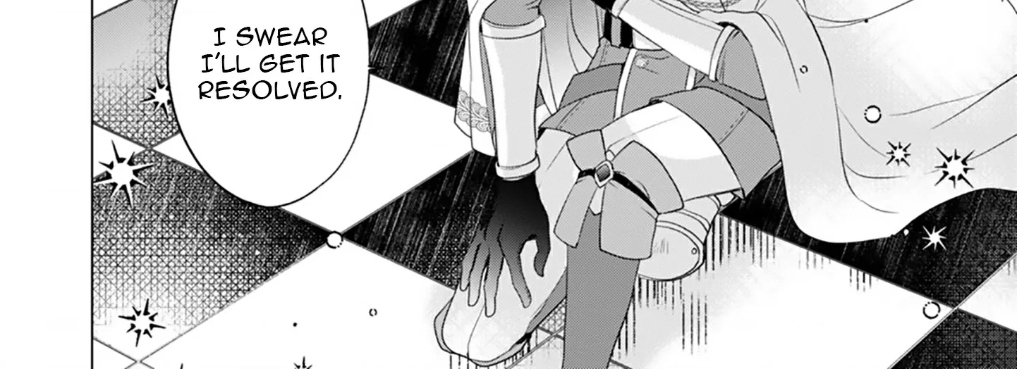 Akujo no Watashi wo Shokei shita Kishi Danchou ni, Naze ka Dekiaisaretemasu Chapter 12 page 17 - 