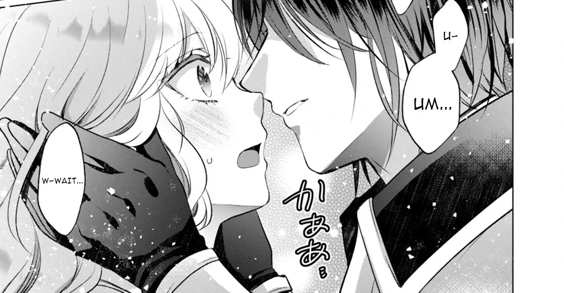 Akujo no Watashi wo Shokei shita Kishi Danchou ni, Naze ka Dekiaisaretemasu Chapter 13 page 2 - 