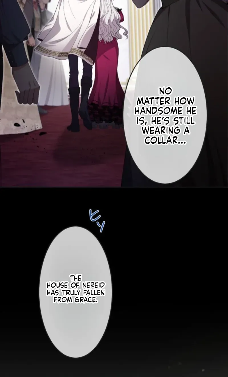 Akujo wa Chuuken Goei ni Kubiwa o Tsukerareru Chapter 1 page 15 - 