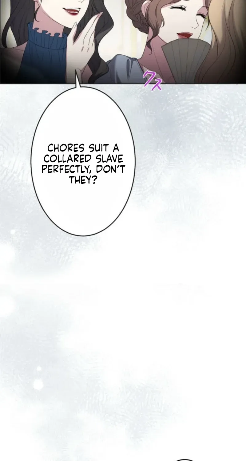 Akujo wa Chuuken Goei ni Kubiwa o Tsukerareru Chapter 1 page 28 - 