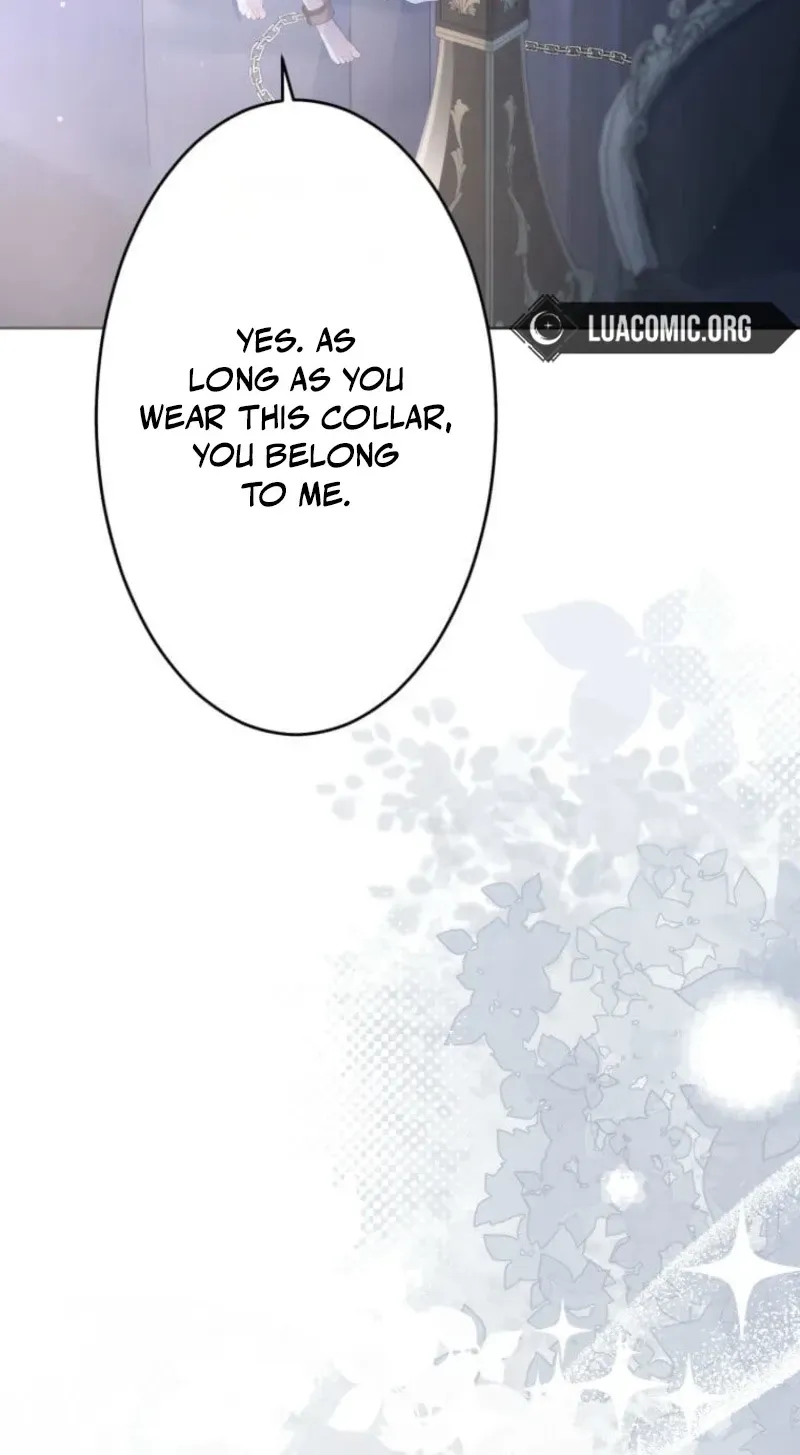 Akujo wa Chuuken Goei ni Kubiwa o Tsukerareru Chapter 3 page 40 - 