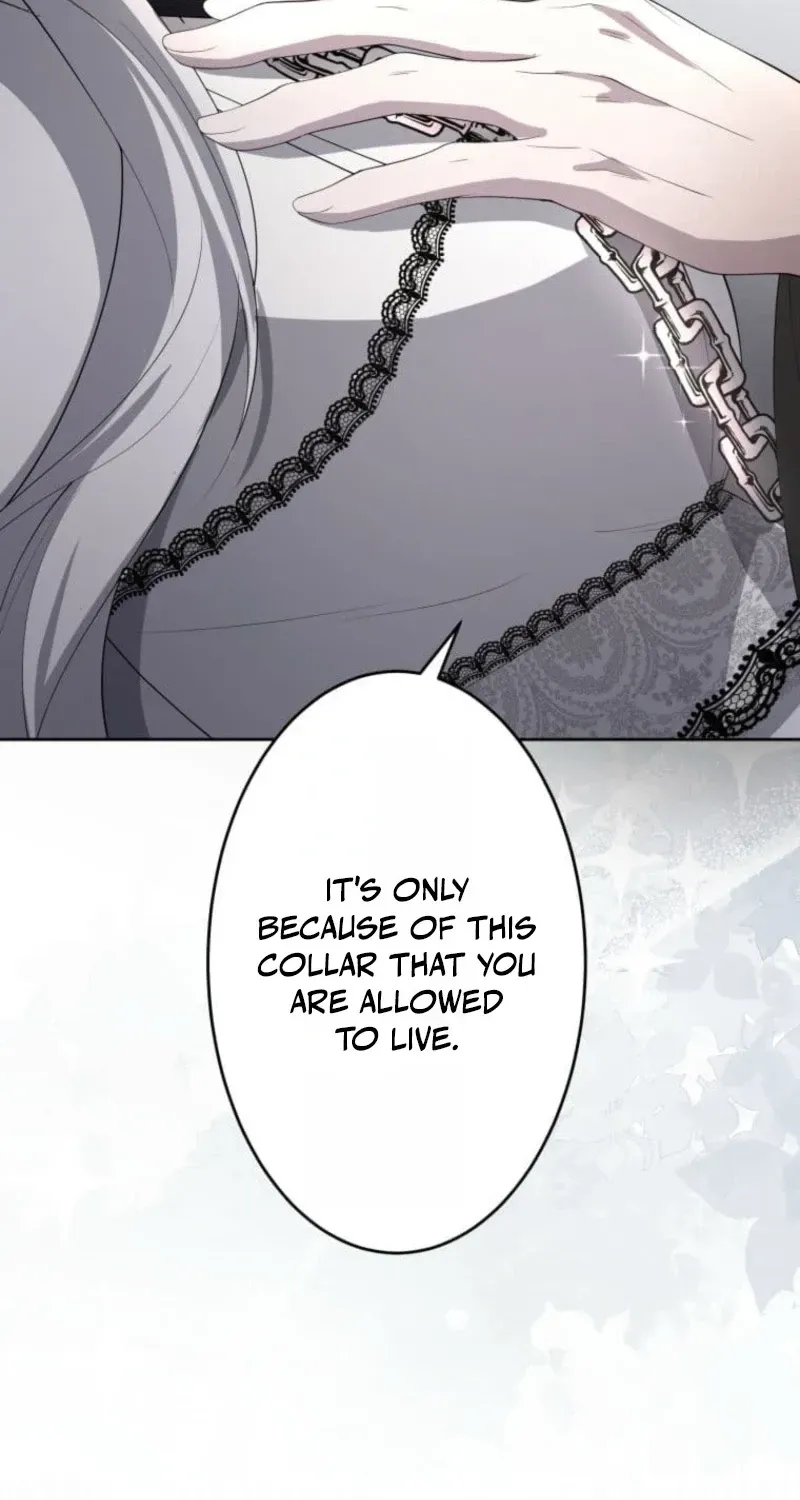 Akujo wa Chuuken Goei ni Kubiwa o Tsukerareru Chapter 3 page 43 - 