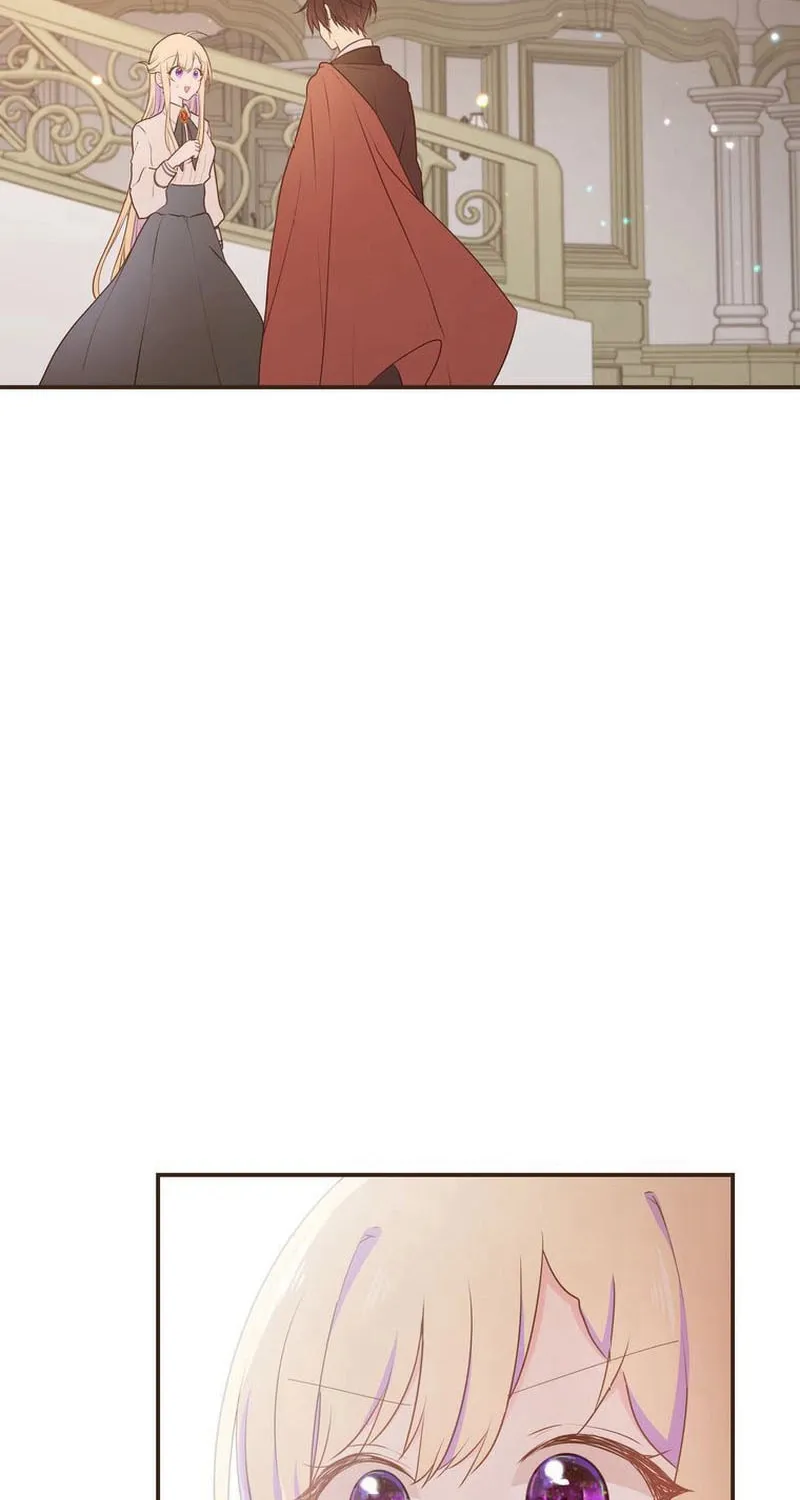 Akujo wa Kamen no Kishi ni Damasarenai Chapter 13 page 2 - 