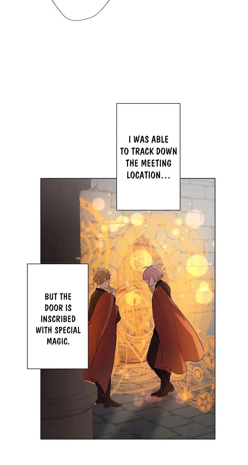 Akujo wa Kamen no Kishi ni Damasarenai Chapter 13 page 29 - 