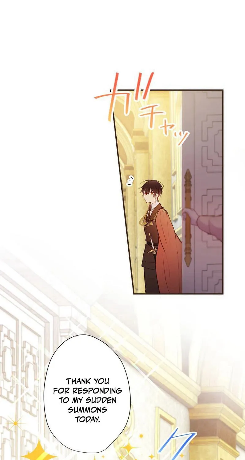 Akujo wa Kamen no Kishi ni Damasarenai Chapter 13 page 43 - 
