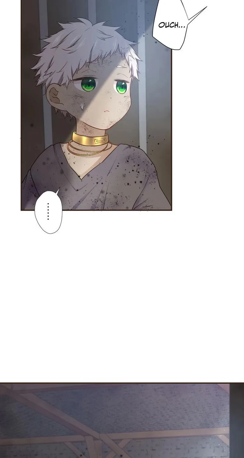 Akujo wa Kamen no Kishi ni Damasarenai Chapter 14 page 25 - 