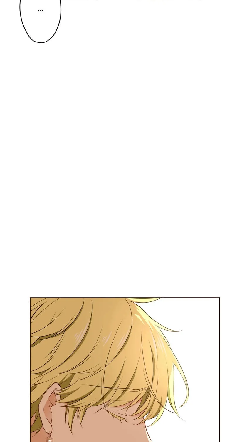 Akujo wa Kamen no Kishi ni Damasarenai Chapter 16 page 25 - 