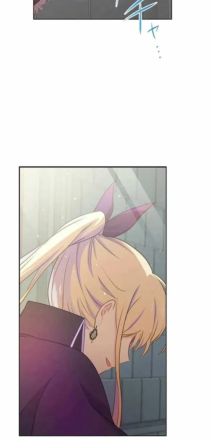 Akujo wa Kamen no Kishi ni Damasarenai Chapter 17 page 45 - 