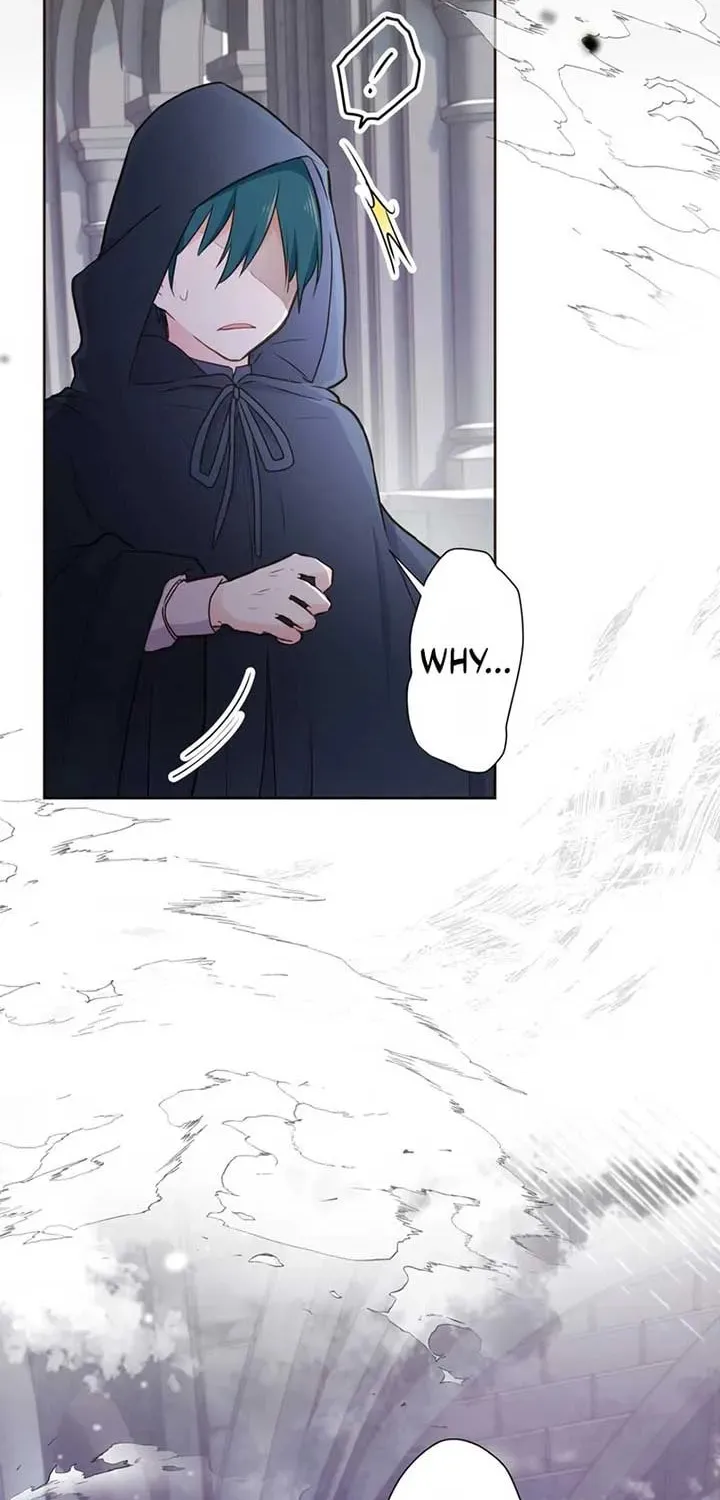 Akujo wa Kamen no Kishi ni Damasarenai Chapter 19 page 13 - 