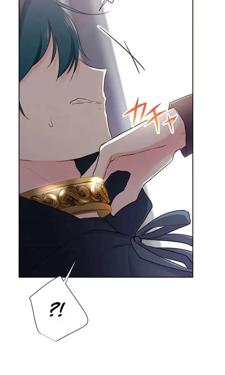 Akujo wa Kamen no Kishi ni Damasarenai Chapter 19 page 25 - 
