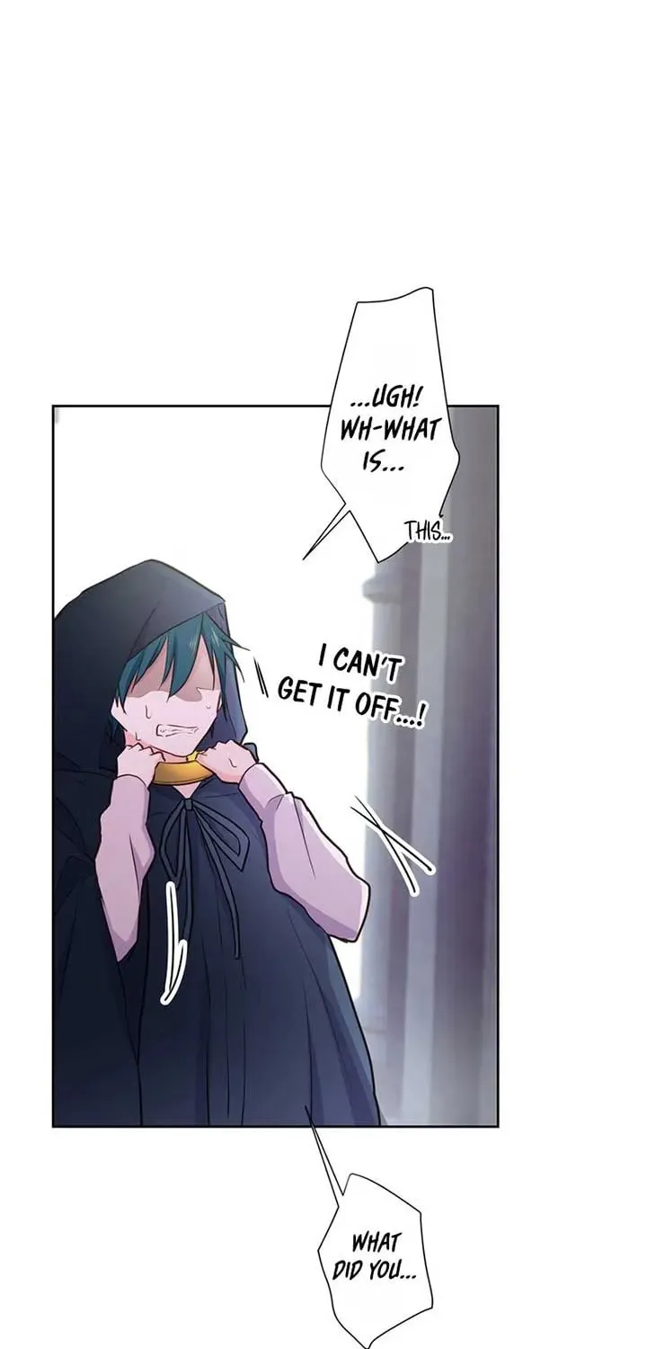 Akujo wa Kamen no Kishi ni Damasarenai Chapter 19 page 27 - 