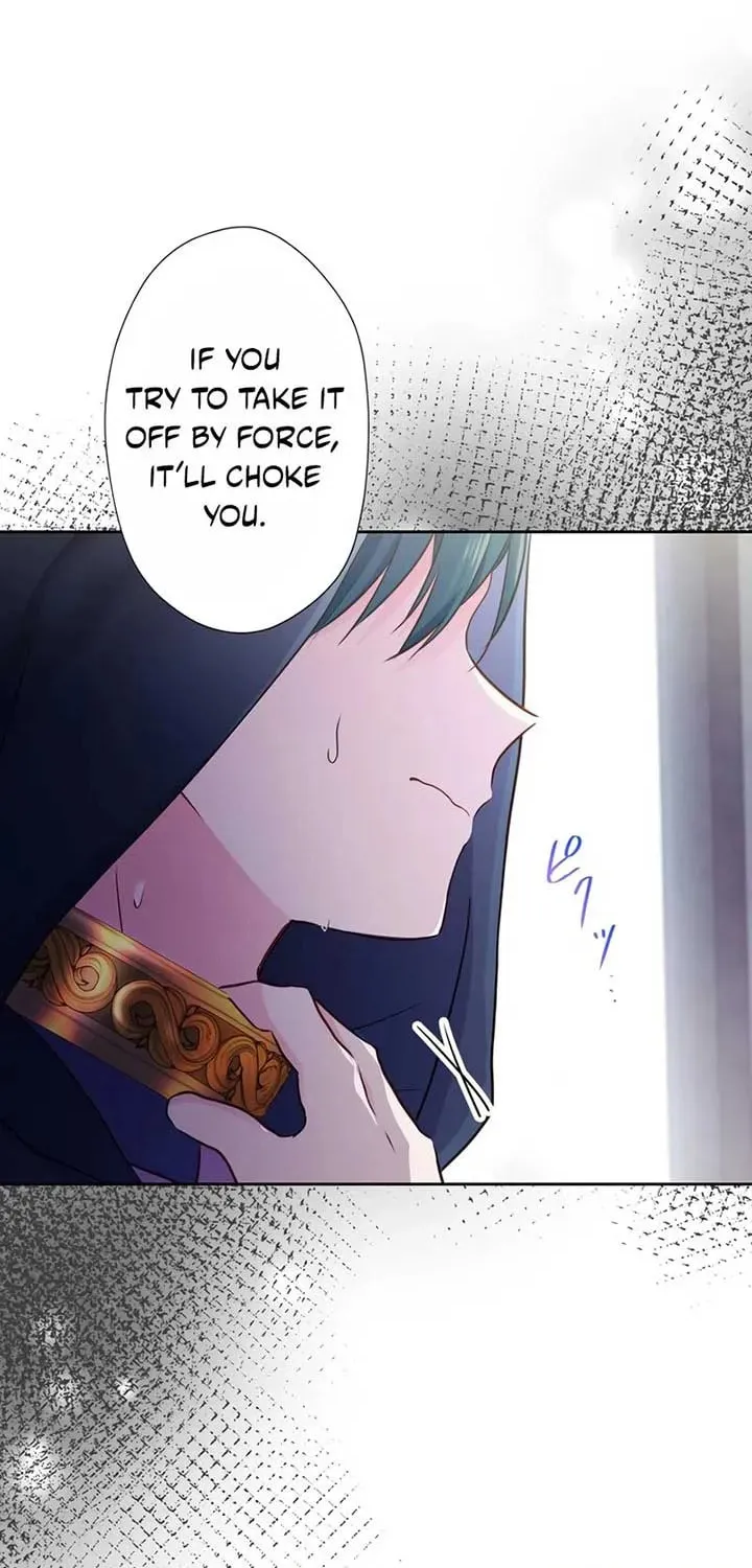 Akujo wa Kamen no Kishi ni Damasarenai Chapter 19 page 29 - 
