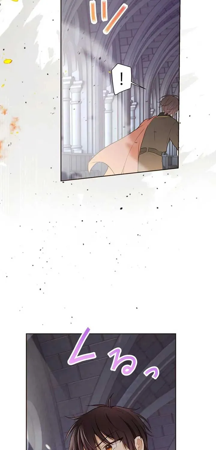 Akujo wa Kamen no Kishi ni Damasarenai Chapter 19 page 5 - 