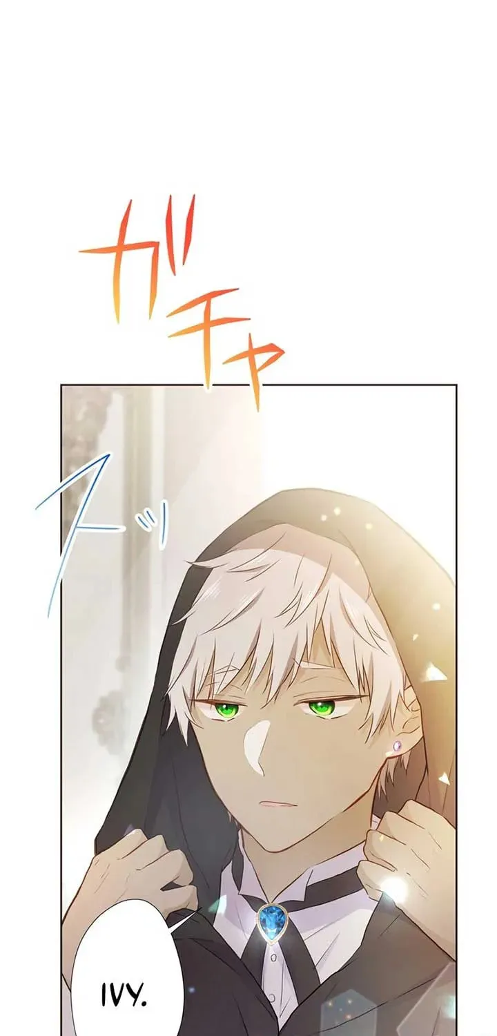 Akujo wa Kamen no Kishi ni Damasarenai Chapter 20 page 32 - 