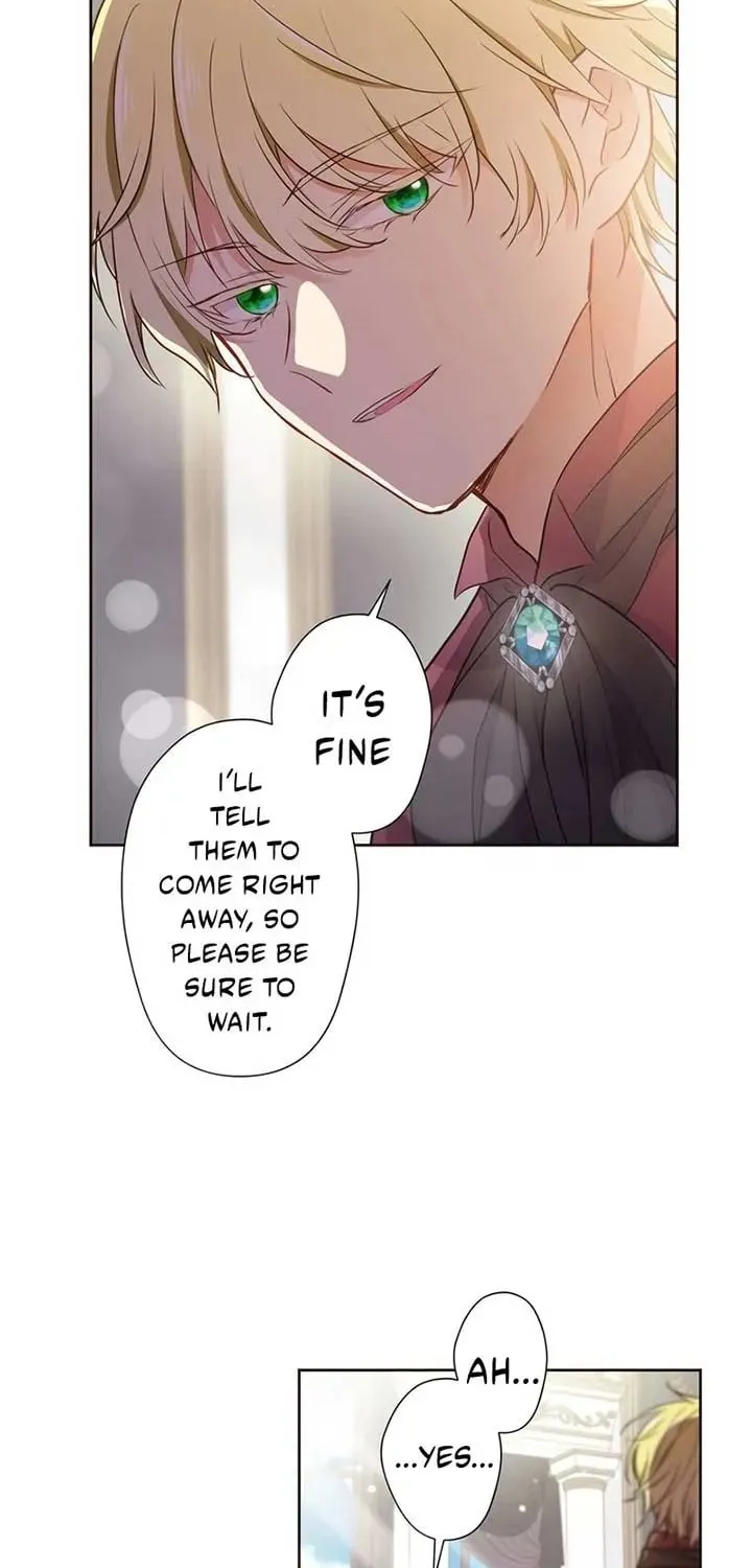 Akujo wa Kamen no Kishi ni Damasarenai Chapter 22 page 45 - 