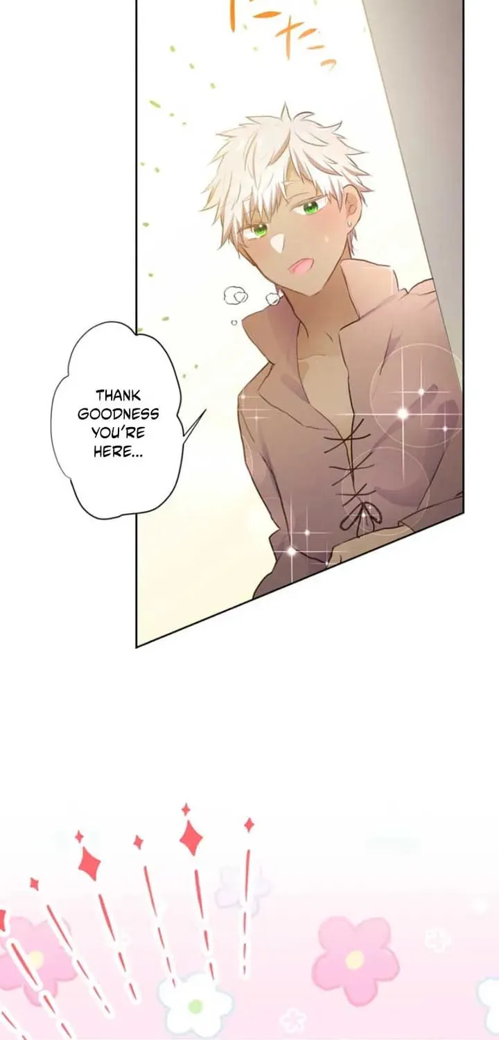 Akujo wa Kamen no Kishi ni Damasarenai Chapter 26 page 33 - 