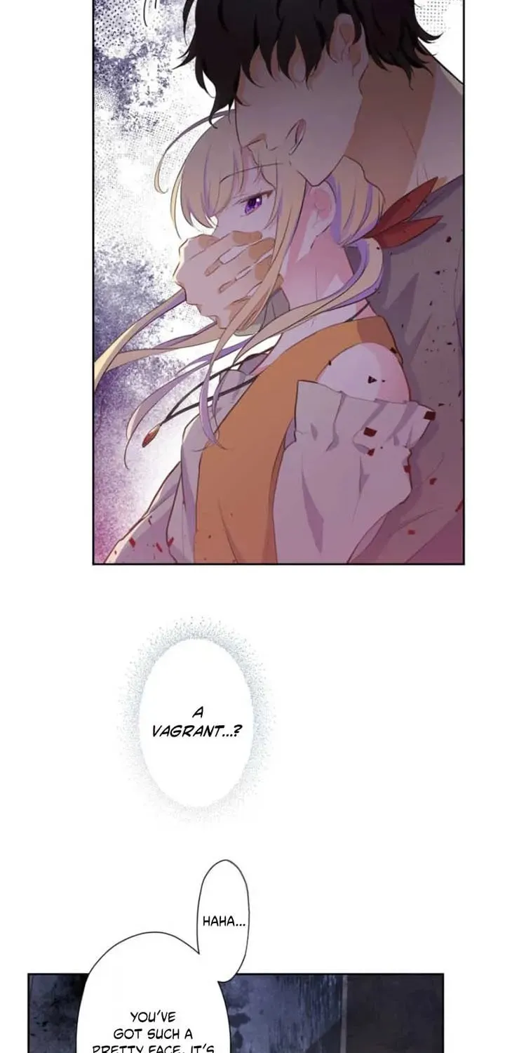 Akujo wa Kamen no Kishi ni Damasarenai Chapter 26 page 8 - 