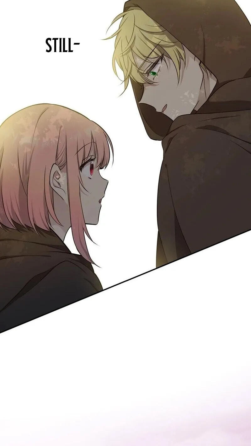 Akujo wa Kamen no Kishi ni Damasarenai Chapter 48 page 41 - 