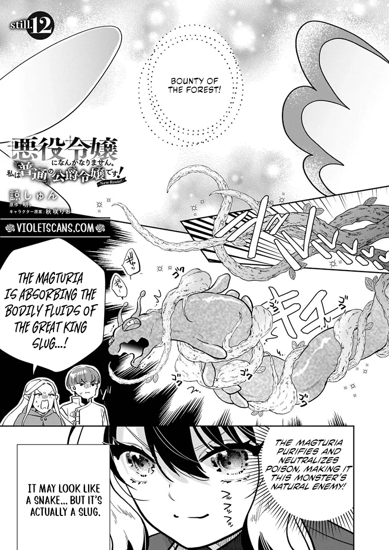 Akuyaku Reijou ni Nanka Narimasen. Watashi wa "Futsu" no Koushaku Reijou desu! ~New Route!~ Chapter 12.1 page 2 - 