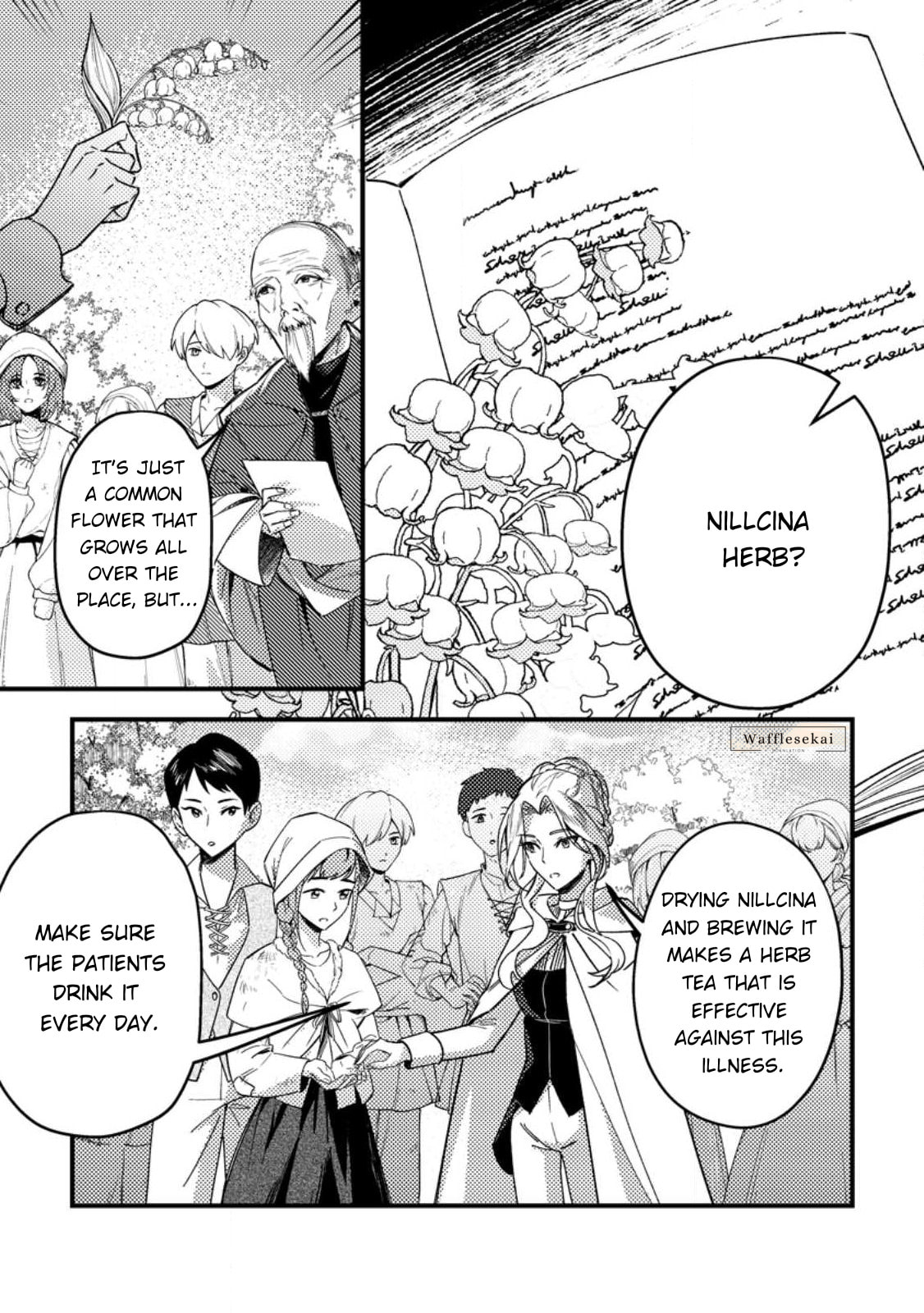 Akuyaku Reijou tte no wa Kou Yaru no yo Chapter 2 page 11 - 
