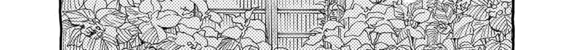 Alice, Doko made mo Chapter 13 page 14 - 