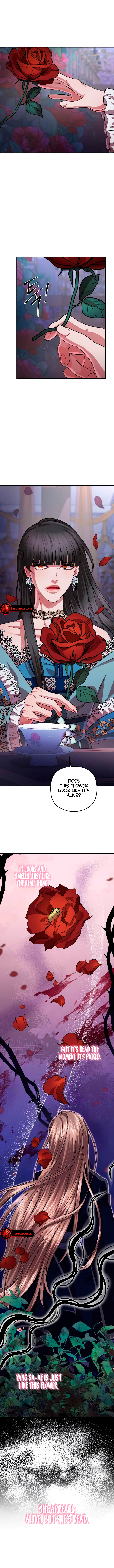 All About Dominative And Exclusive Destruction. Chapter 40 page 5 - 