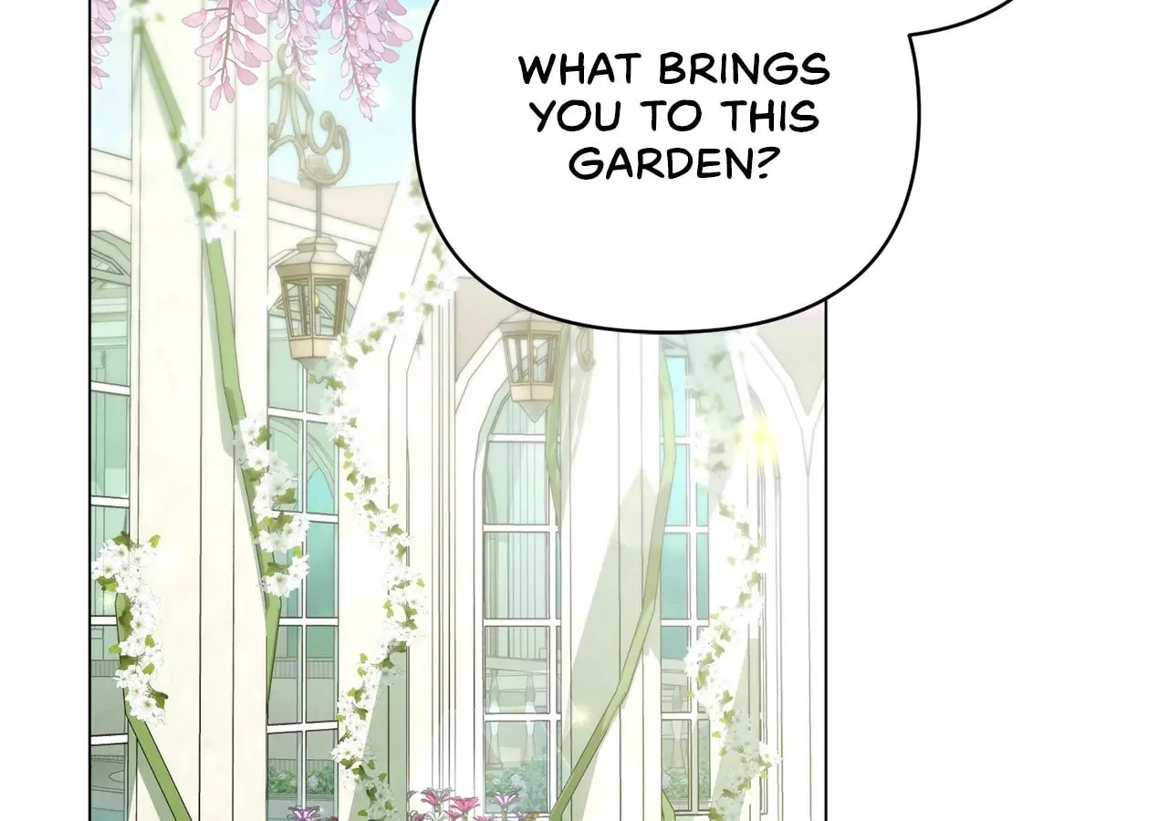 All for My Dearest Juliet Chapter 2 page 14 - 