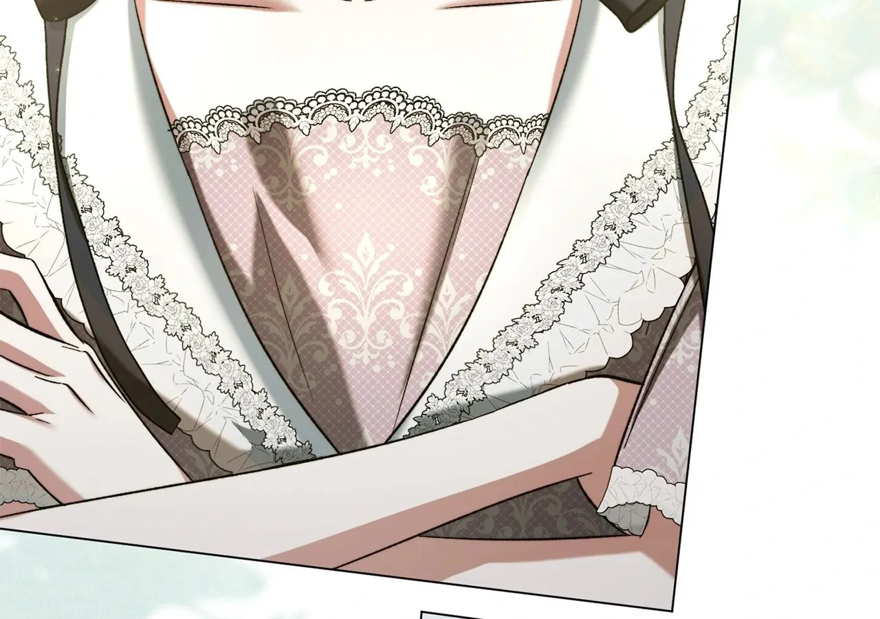 All for My Dearest Juliet Chapter 31 page 67 - 