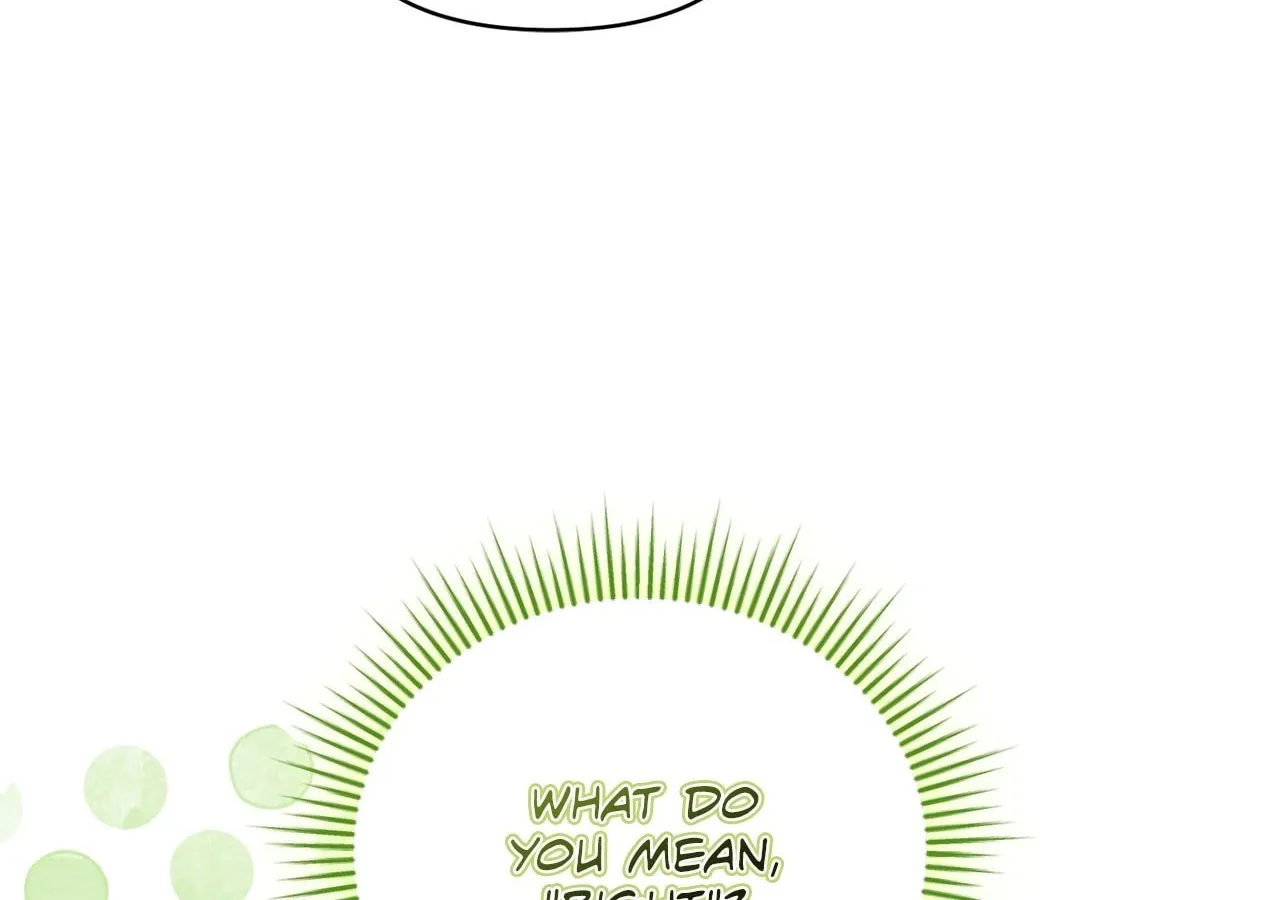 All for My Dearest Juliet Chapter 36 page 45 - 