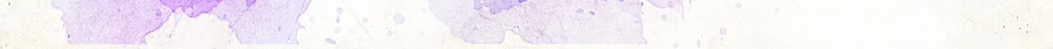 All Hail My Adorable Master (Colored) Chapter 29 page 56 - 