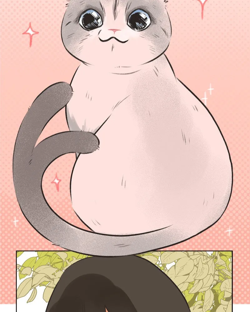 All Haven Academy Chapter 1 page 23 - 