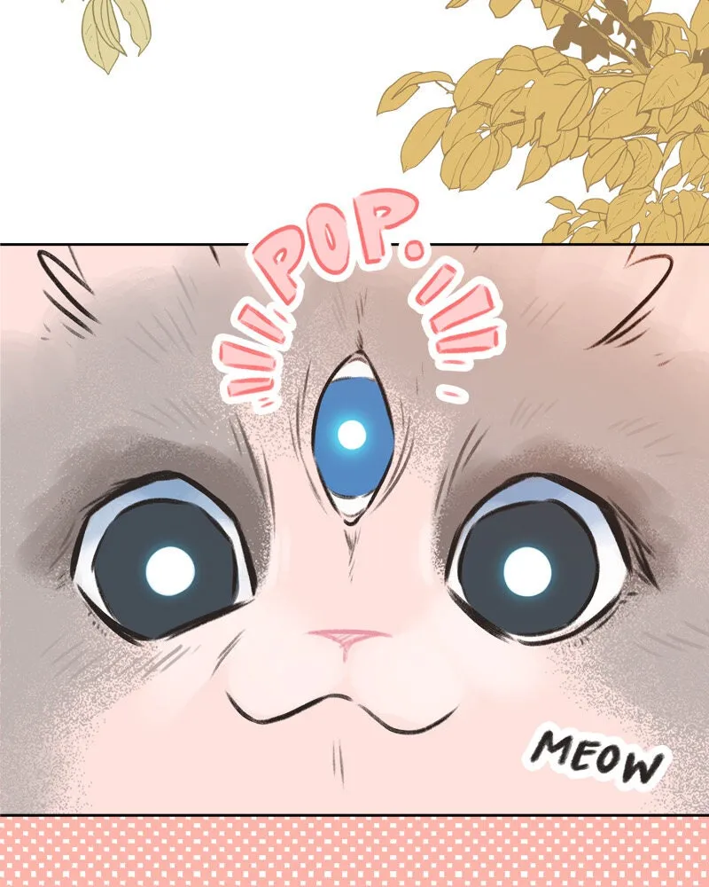 All Haven Academy Chapter 1 page 25 - 