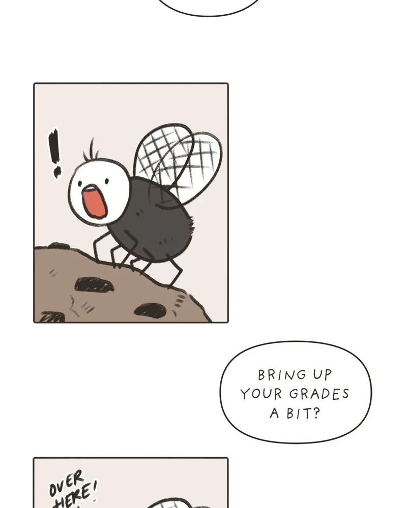All Haven Academy Chapter 1 page 64 - 