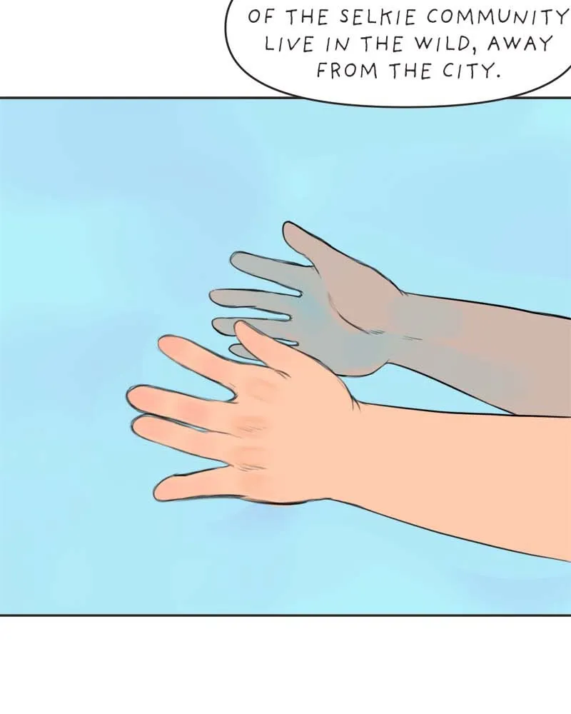 All Haven Academy Chapter 10 page 70 - 
