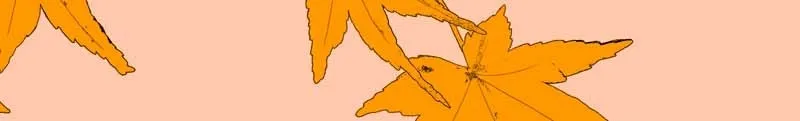 All Haven Academy Chapter 20 page 24 - 