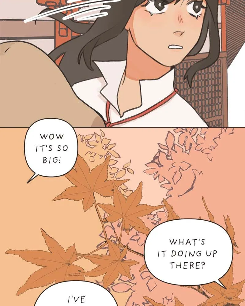 All Haven Academy Chapter 20 page 38 - 