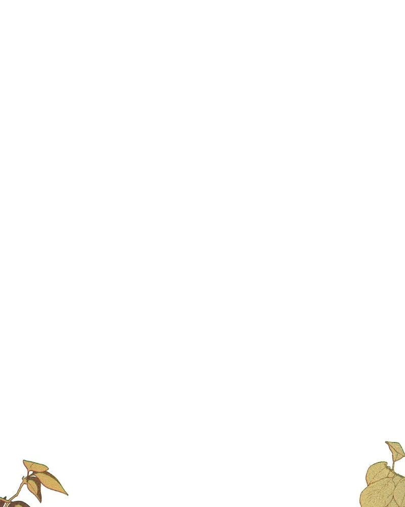 All Haven Academy Chapter 3 page 1 - 