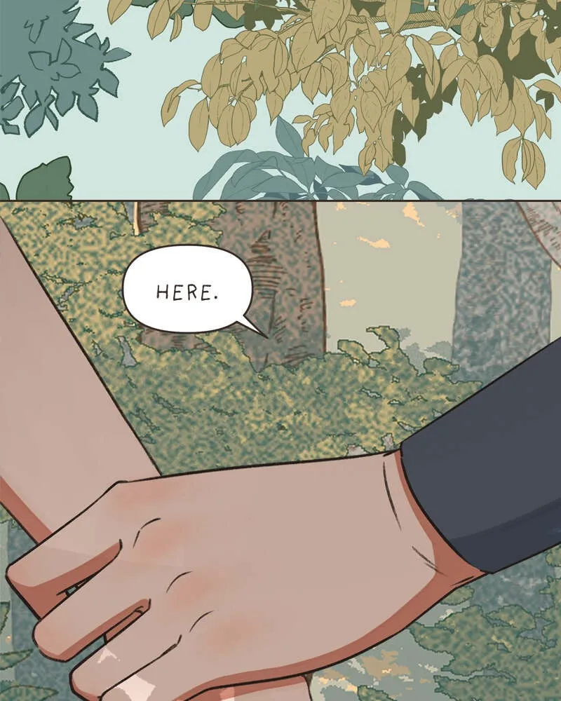 All Haven Academy Chapter 31 page 64 - 