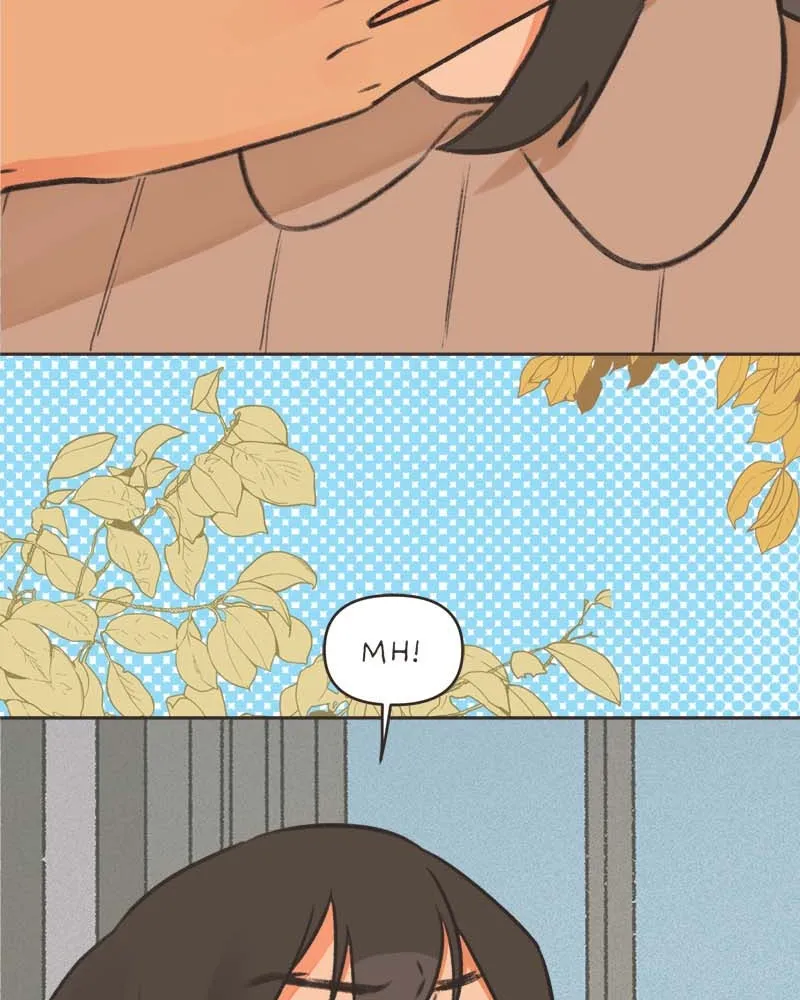 All Haven Academy Chapter 38 page 15 - 