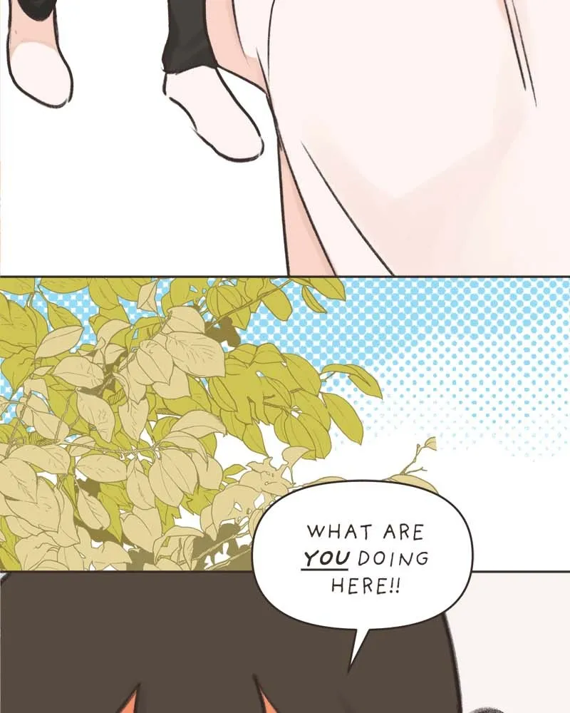 All Haven Academy Chapter 38 page 3 - 